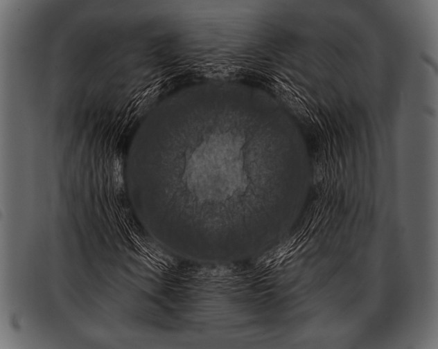 X0000097461106200803201420