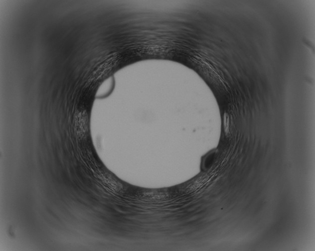 X0000097461107200803201420