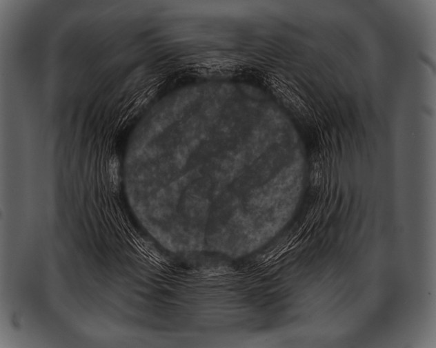 X0000097461108200803201420