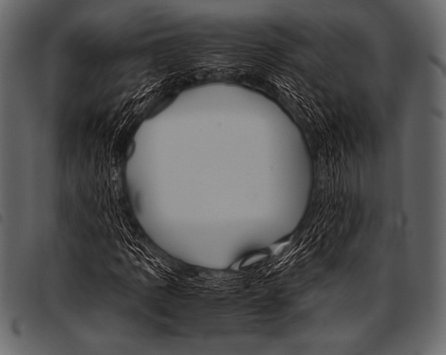 X0000097461109200803201420