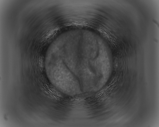 X0000097461110200803201420