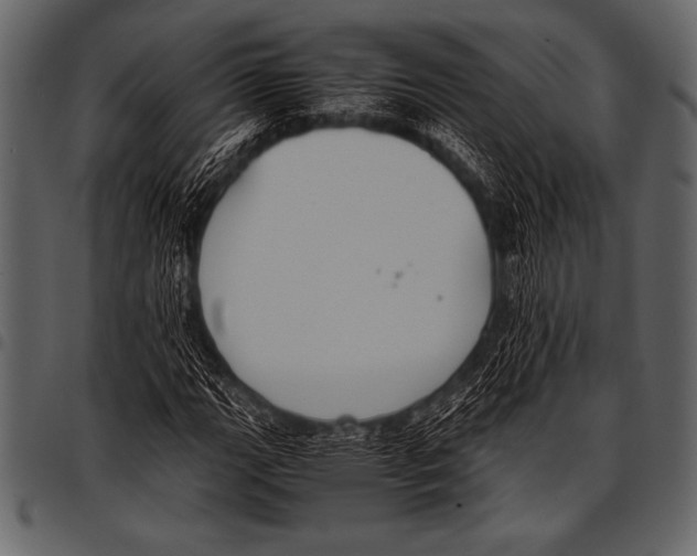 X0000097461111200803201420