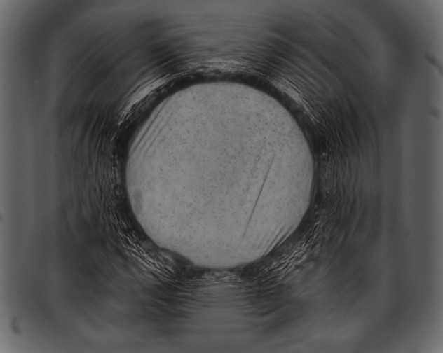 X0000097461112200803201420