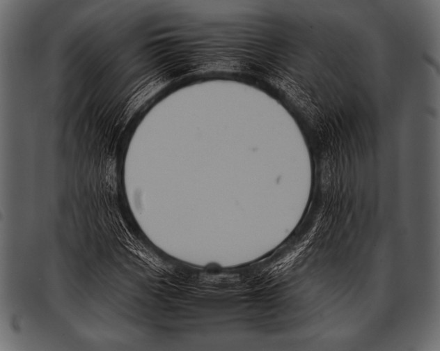 X0000097461113200803201420