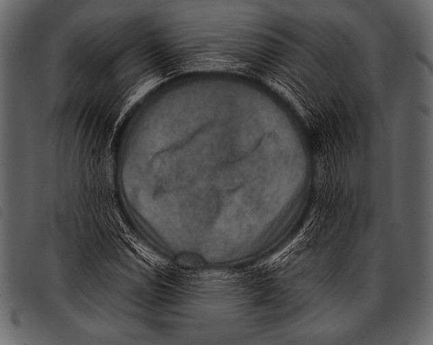 X0000097461114200803201420