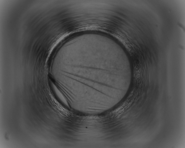 X0000097461118200803201420