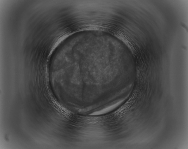 X0000097461120200803201420