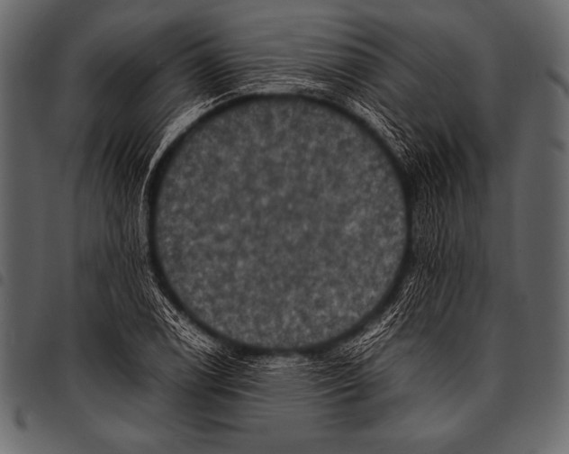 X0000097461122200803201420