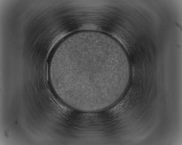 X0000097461123200803201420