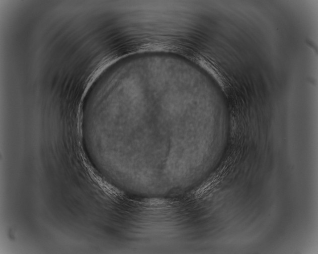 X0000097461124200803201420