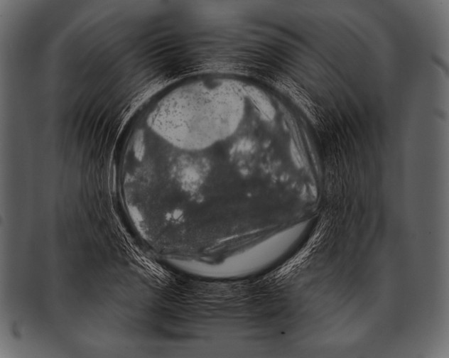 X0000097461125200803201420