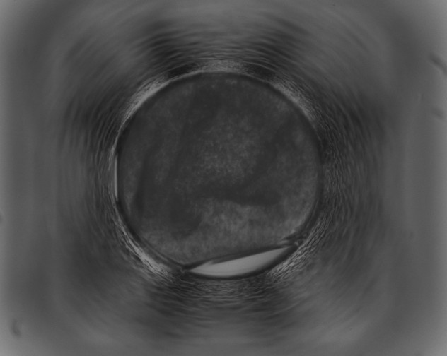 X0000097461127200803201420