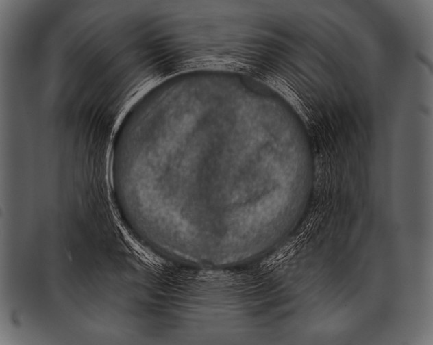 X0000097461128200803201420