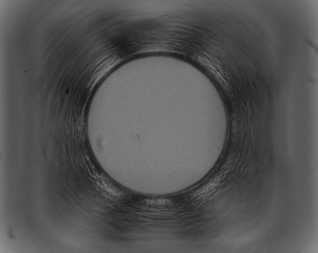 X0000097461129200803201420