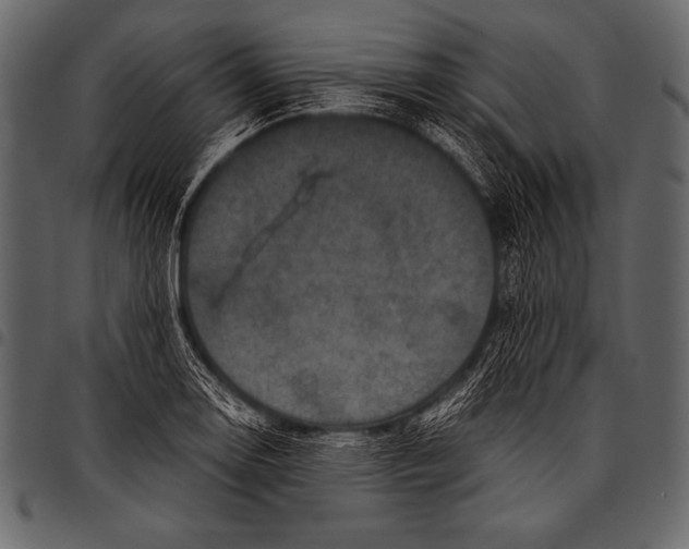 X0000097461130200803201420