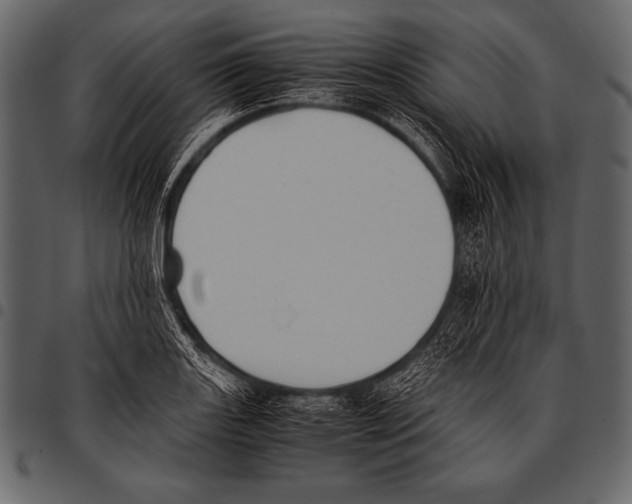 X0000097461131200803201420