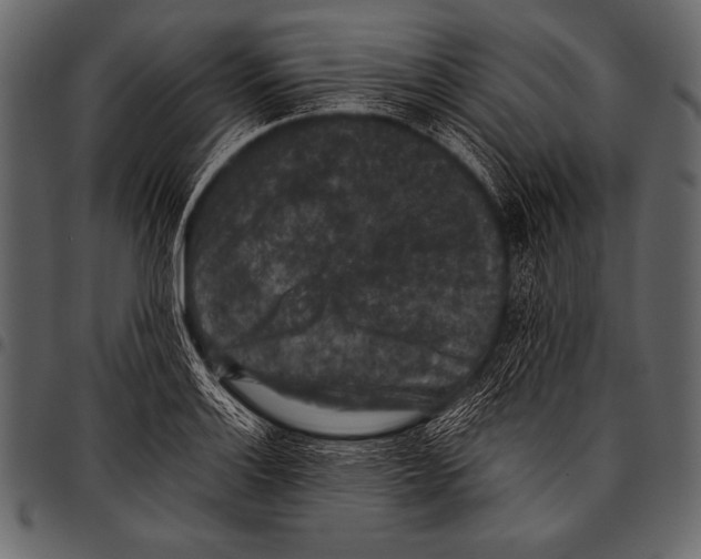 X0000097461132200803201420