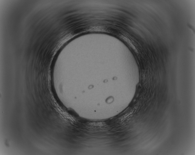 X0000097461133200803201420