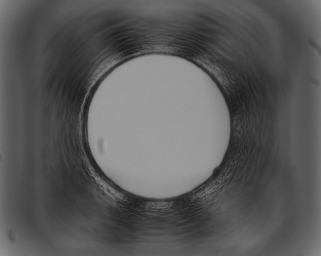 X0000097461135200803201420