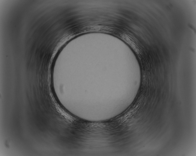 X0000097461136200803201420