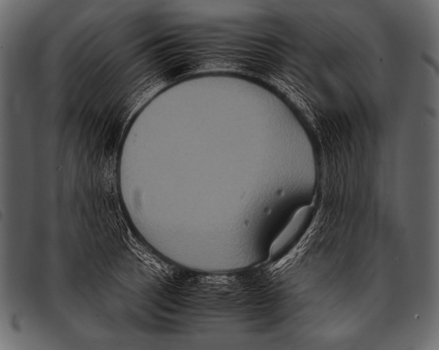 X0000097461137200803201420