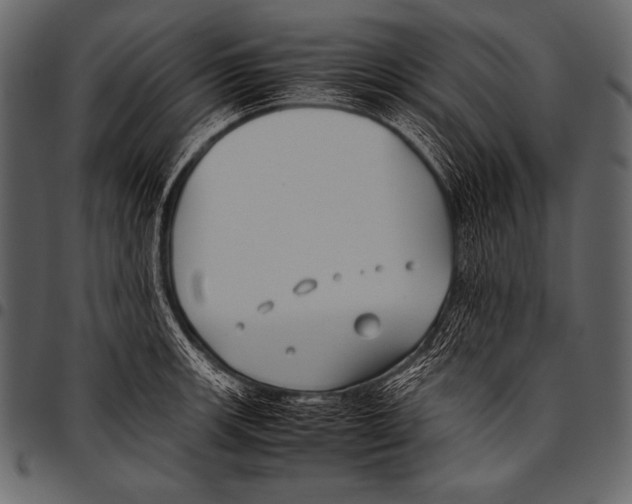 X0000097461139200803201420