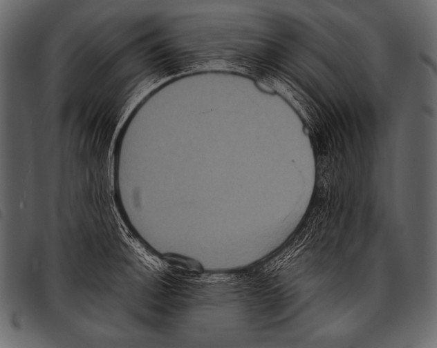 X0000097461140200803201420