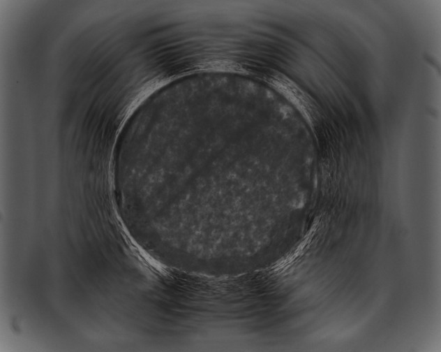 X0000097461141200803201420