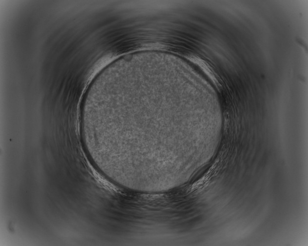 X0000097461143200803201420