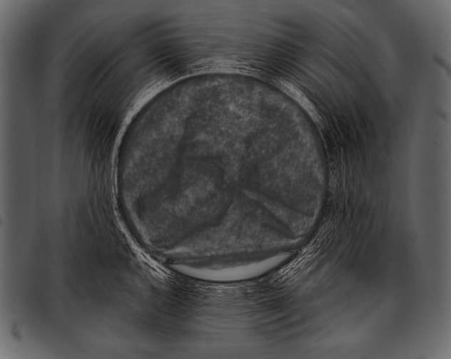 X0000097461144200803201420