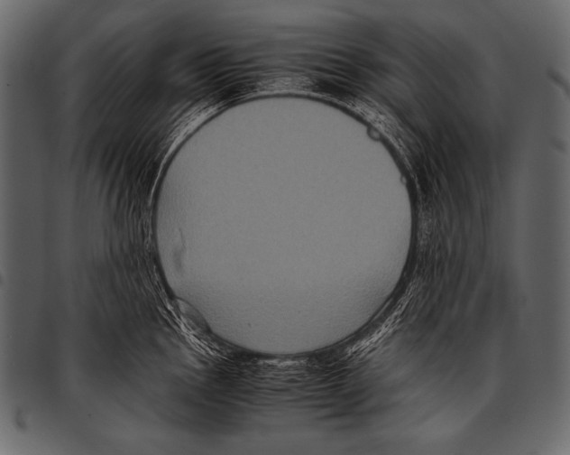 X0000097461145200803201420