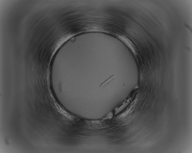 X0000097461149200803201420