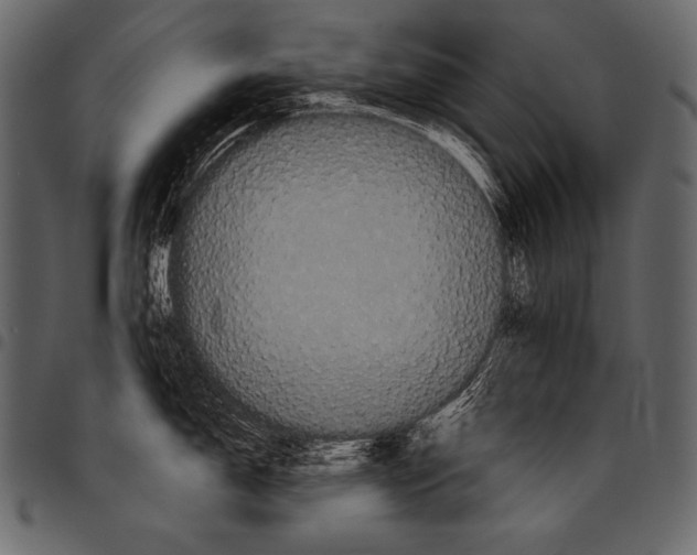 X0000097461150200803201420