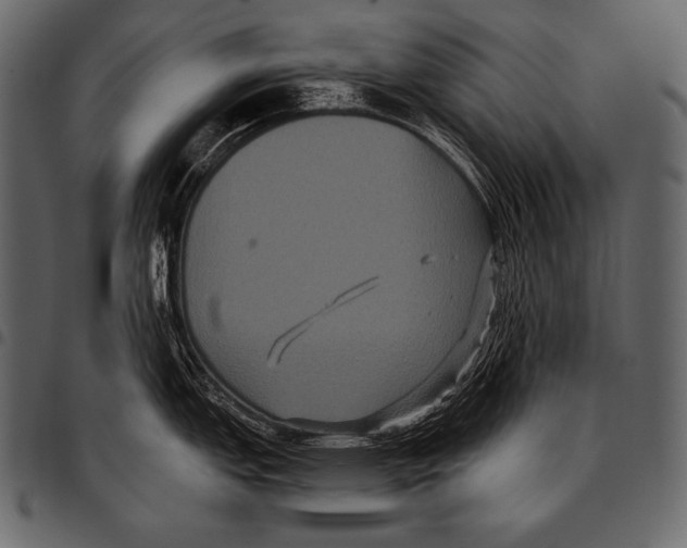 X0000097461151200803201420