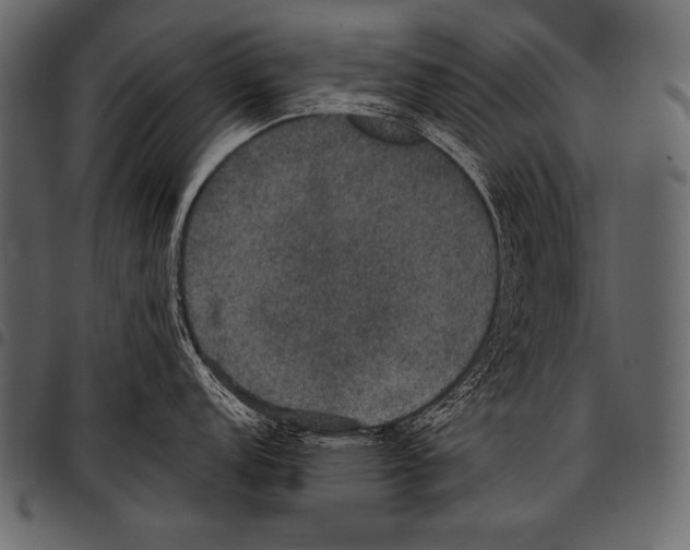 X0000097461152200803201420