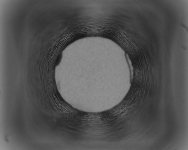 X0000097461153200803201420