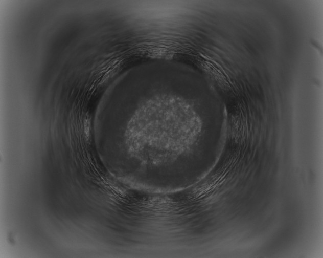 X0000097461154200803201420