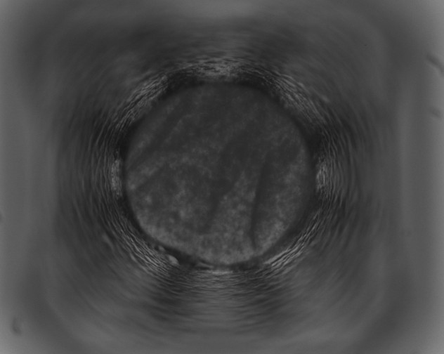 X0000097461156200803201420