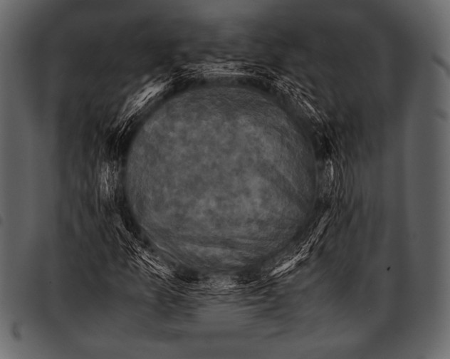 X0000097461157200803201420