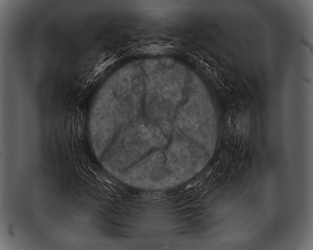 X0000097461158200803201420