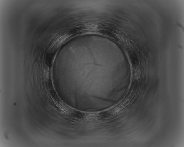 X0000097461161200803201420