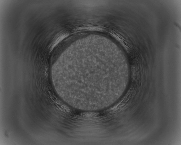 X0000097461163200803201420