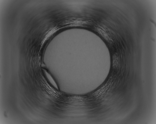 X0000097461164200803201420