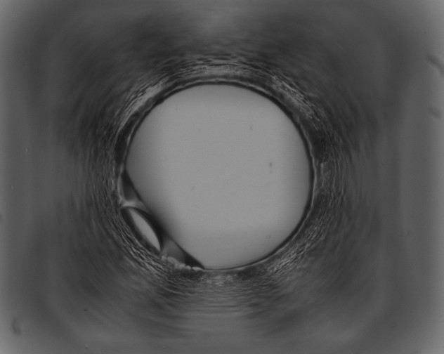 X0000097461165200803201420