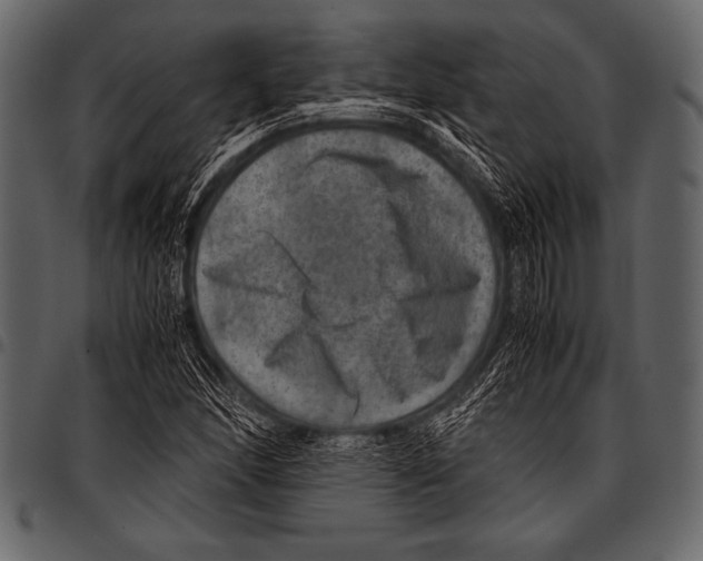 X0000097461166200803201420