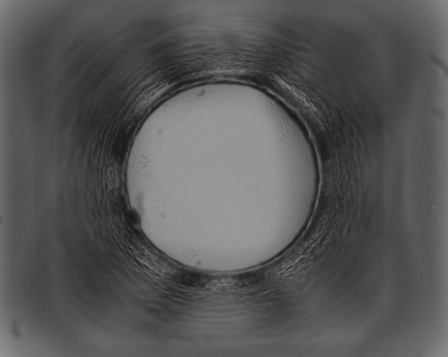 X0000097461169200803201420