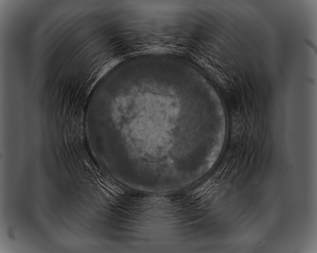 X0000097461170200803201420