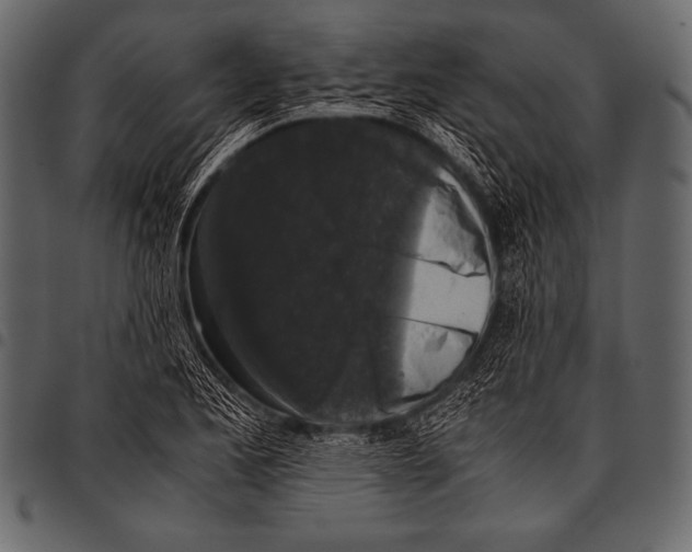 X0000097461173200803201420