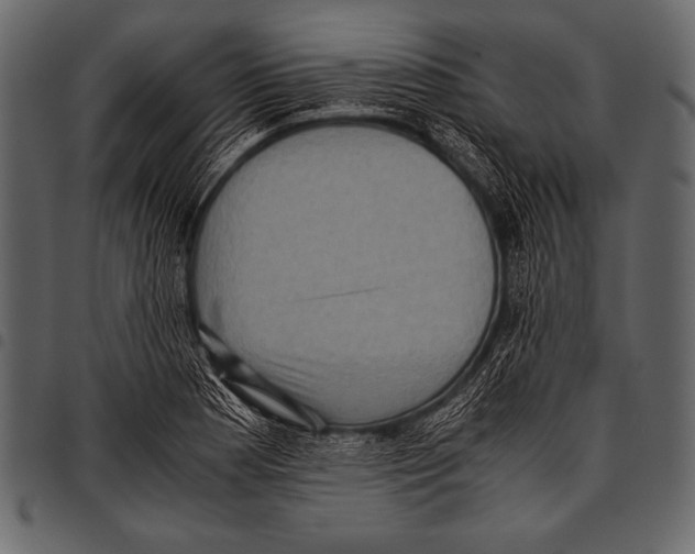 X0000097461177200803201420