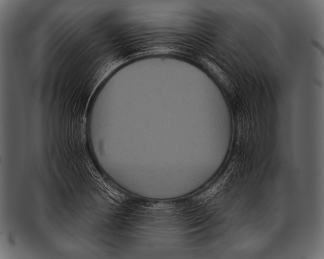 X0000097461178200803201419